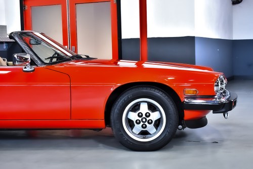 1990 Jaguar XJS Convertible 5,3L V12 "Classic Collection" In vendita (immagine 75 di 121)