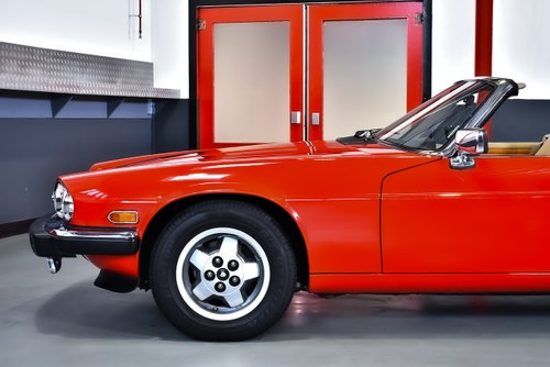 1990 Jaguar XJS Convertible 5,3L V12 "Classic Collection" In vendita (immagine 88 di 121)