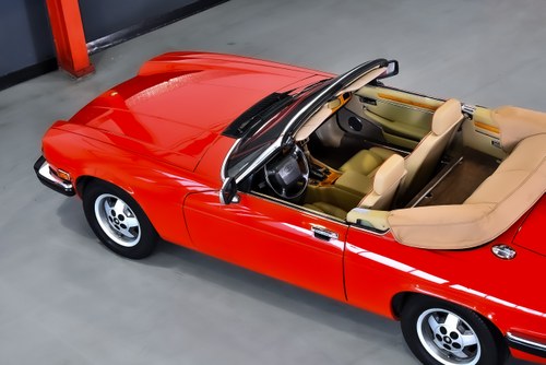 1990 Jaguar XJS Convertible 5,3L V12 "Classic Collection" In vendita (immagine 105 di 121)