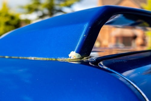 2009 Ford Transit Connect T200 For Sale (picture 86 of 128)