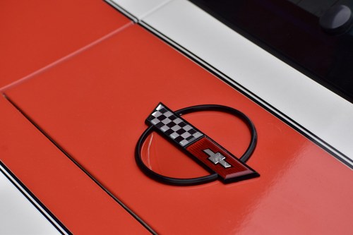 1984 Chevrolet Corvette C4 Faceman Replica For Sale (picture 106 of 175)