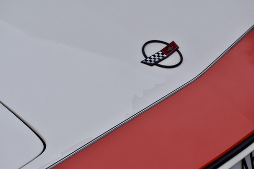 1984 Chevrolet Corvette C4 Faceman Replica For Sale (picture 118 of 175)