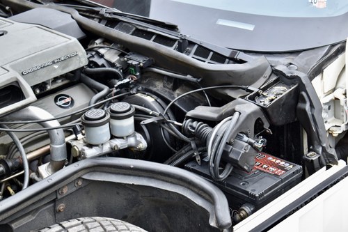 1984 Chevrolet Corvette C4 Faceman Replica For Sale (picture 161 of 175)