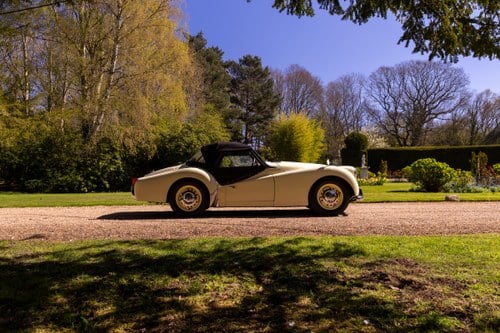 1957 Triumph TR3 En venta (imagen 26 de 218)