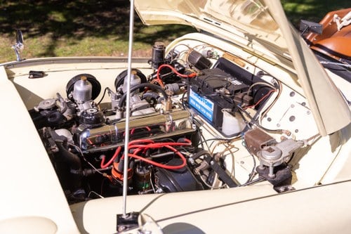 1957 Triumph TR3 En venta (imagen 149 de 218)