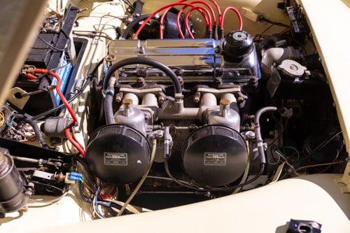 1957 Triumph TR3 En venta (imagen 157 de 218)