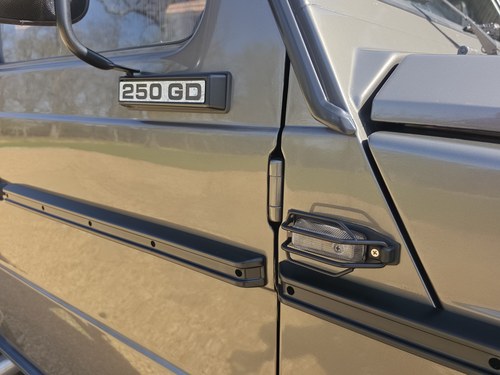 1984 Mercedes G-Wagen 250 GD till salu (bild 77 av 132)