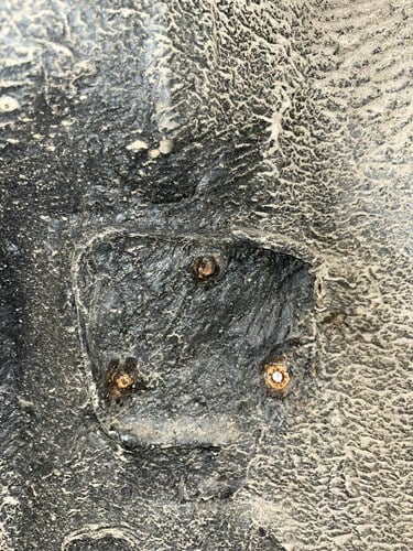 1962 Renault Floride S In vendita (immagine 85 di 223)