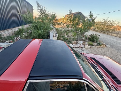 1981 Lancia Beta Spider 2000 For Sale (picture 127 of 159)