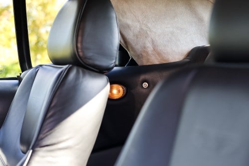 2004 Aston Martin DB7 V12 Vantage Volante till salu (bild 42 av 125)