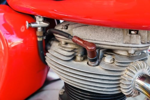 1963 BSA A50 For Sale (picture 41 of 105)