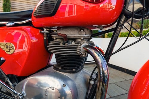 1963 BSA A50 For Sale (picture 42 of 105)