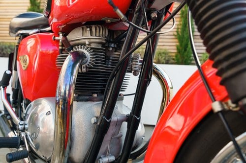 1963 BSA A50 For Sale (picture 50 of 105)