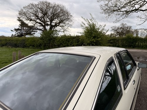 1980 Datsun Sunny 140Y till salu (bild 61 av 86)