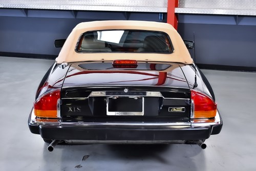 1991 Jaguar XJS V12 Convertible Classic Edition For Sale (picture 32 of 130)