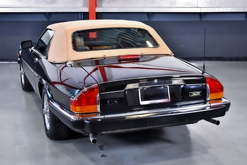 1991 Jaguar XJS V12 Convertible Classic Edition For Sale (picture 33 of 130)