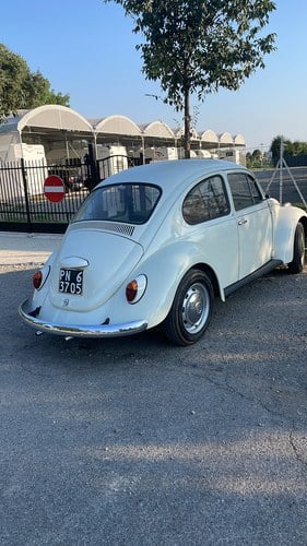 1972 Volkswagen Beetle (11D1) Standard Six-Volt For Sale (picture 3 of 31)