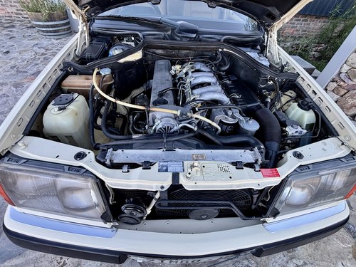 1992 Mercedes-Benz 300TD W124 till salu (bild 120 av 138)