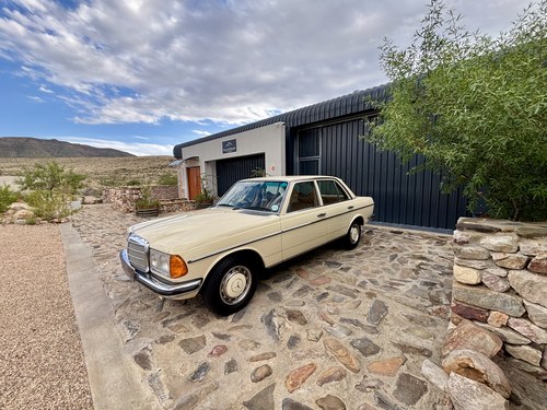 1976 Mercedes-Benz 230 W123 till salu (bild 17 av 136)
