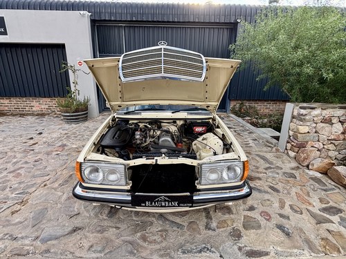 1976 Mercedes-Benz 230 W123 till salu (bild 106 av 136)