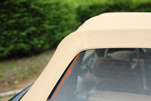 1998 Ford Mustang Convertible En venta (imagen 181 de 302)