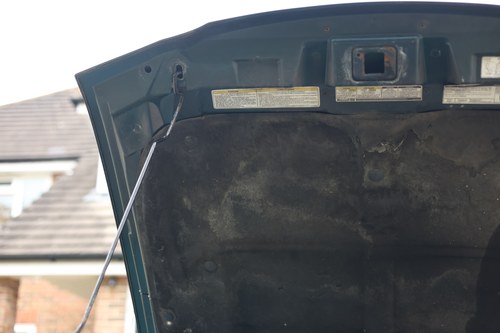 1998 Ford Mustang Convertible En venta (imagen 240 de 302)