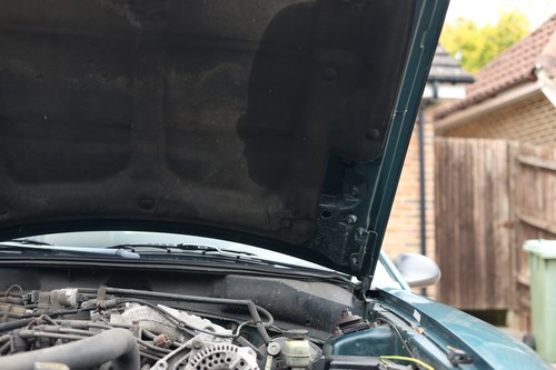 1998 Ford Mustang Convertible En venta (imagen 242 de 302)