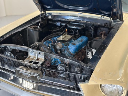 1967 Ford Mustang 289CI V8 Coupe - The Walking Dead Screen Car En venta (imagen 62 de 80)