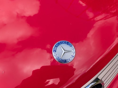 1999 Mercedes-Benz SL 320 AMG Edition En venta (imagen 148 de 258)