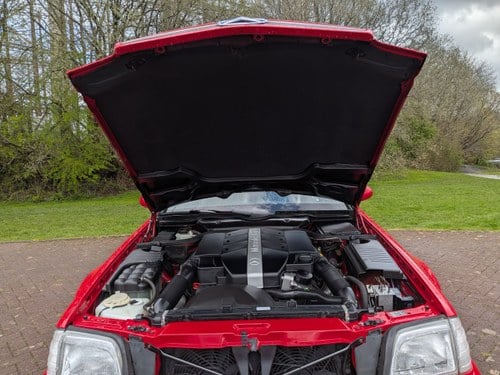 1999 Mercedes-Benz SL 320 AMG Edition En venta (imagen 184 de 258)