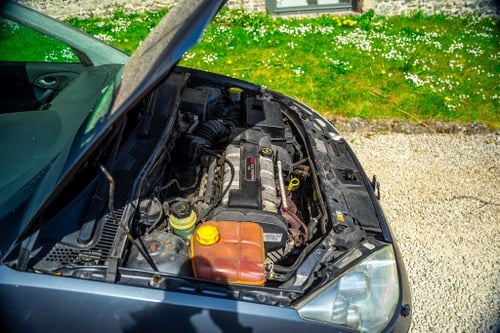 2003 Ford Focus ST170 For Sale (picture 93 of 130)
