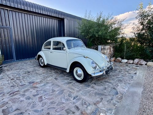 1966 Volkswagen Beetle 1300 En venta (imagen 1 de 115)