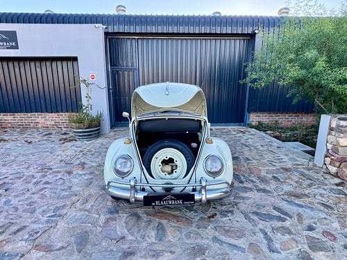 1966 Volkswagen Beetle 1300 En venta (imagen 61 de 115)