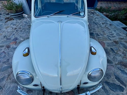 1966 Volkswagen Beetle 1300 En venta (imagen 69 de 115)