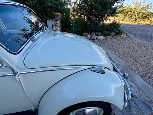 1966 Volkswagen Beetle 1300 En venta (imagen 70 de 115)