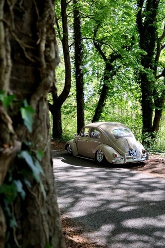1956 Volkswagen Beetle Oval Window à vendre (picture 18 of 125)