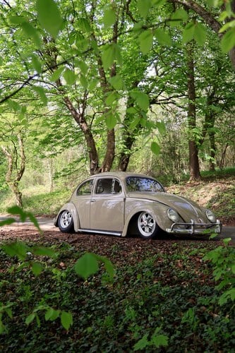 1956 Volkswagen Beetle Oval Window à vendre (picture 21 of 125)
