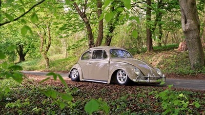 Volkswagen Beetle Oval Window