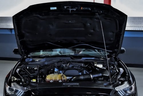 2016 Ford Mustang Ecoboost Convertible 2.3 à venda (imagem 79 de 86)