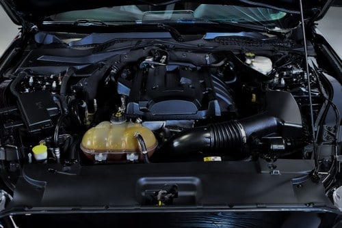 2016 Ford Mustang Ecoboost Convertible 2.3 à venda (imagem 82 de 86)