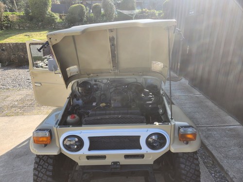 1976 Toyota Land Cruiser FJ40 till salu (bild 101 av 124)