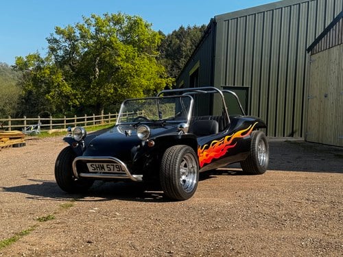 1973 Volkswagen Beach Buggy For Sale (picture 2 of 59)
