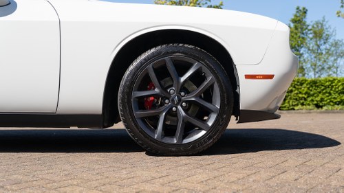 2019 Dodge Challenger till salu (bild 102 av 182)