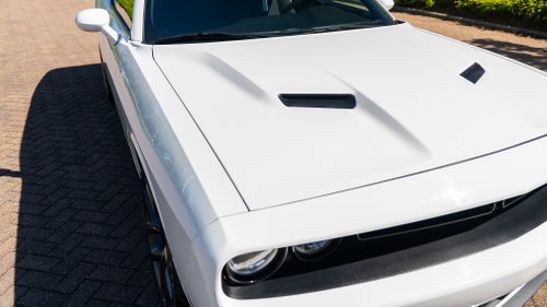 2019 Dodge Challenger till salu (bild 115 av 182)