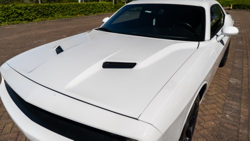 2019 Dodge Challenger till salu (bild 116 av 182)