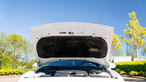 2019 Dodge Challenger till salu (bild 168 av 182)
