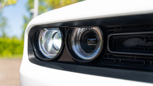 2019 Dodge Challenger till salu (bild 110 av 182)