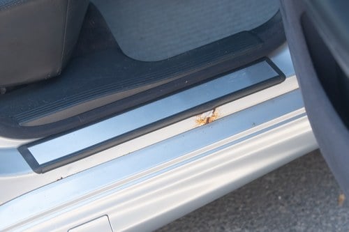 2000 Mercedes-Benz E55 AMG W210 zum Verkauf (Bild 61 von 141)