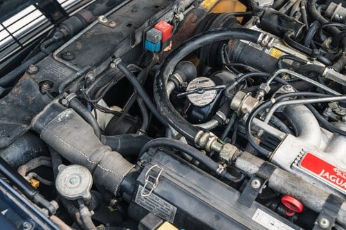 1990 Jaguar JaguarSport XJR-S 6L V12 For Sale (picture 145 of 158)