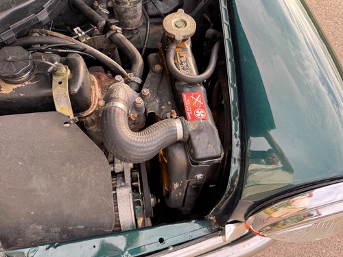 1994 Rover Mini à vendre (picture 86 of 111)